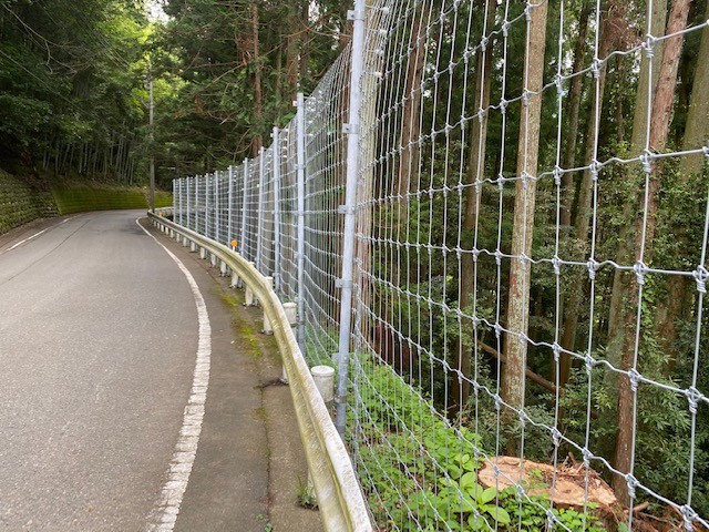 完成
