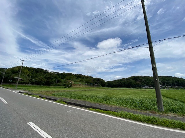 現地視察