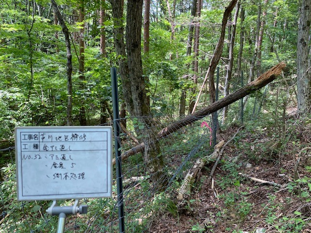 倒木により破損
