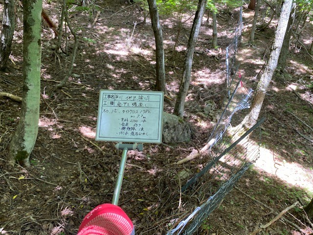 倒木と落石による破損