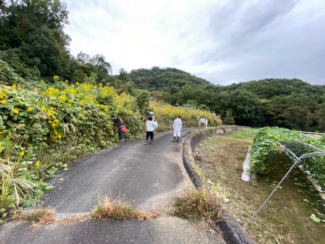 ルート選定